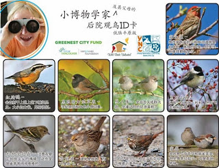 Regional Bird ID Cards
