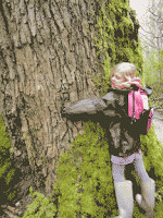Hug-A-Tree Contest