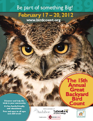 Get ready..set.. count Birds! GBBC Starts today!