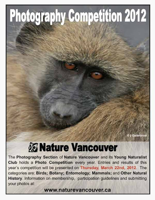 Nature Vancouver Photography Contest
