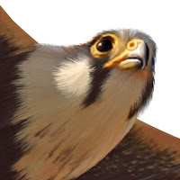 Birding App Alert