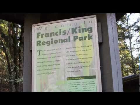 Meet the Victoria Young Naturalists’ Club!