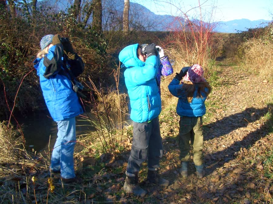 Read CBC’S interesting news article on decreasing ‘Screen Time’ and increasing ‘Nature Time’!