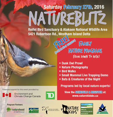 Join our NatureBlitz on Feb 27th!