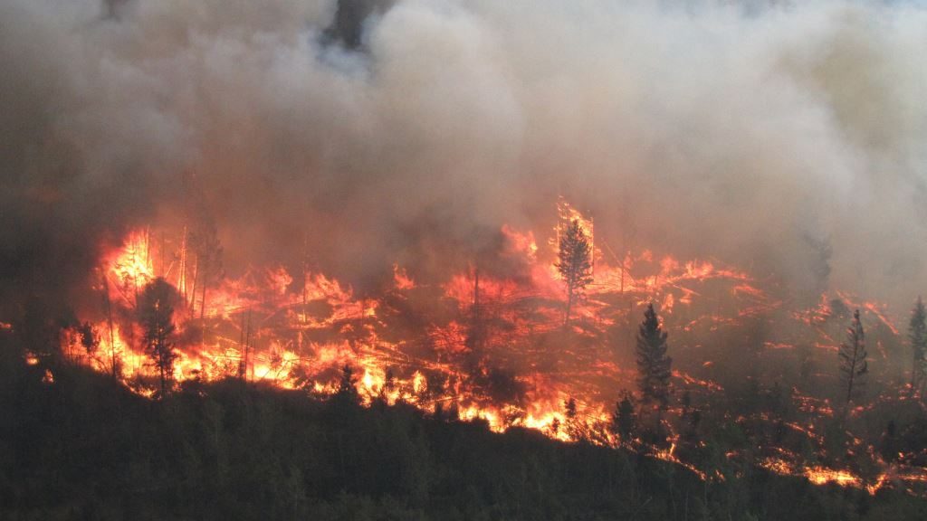 How to talk about climate change (without scaring the kids)