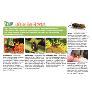Safari Cards - Life in the Flowers: Pollinator