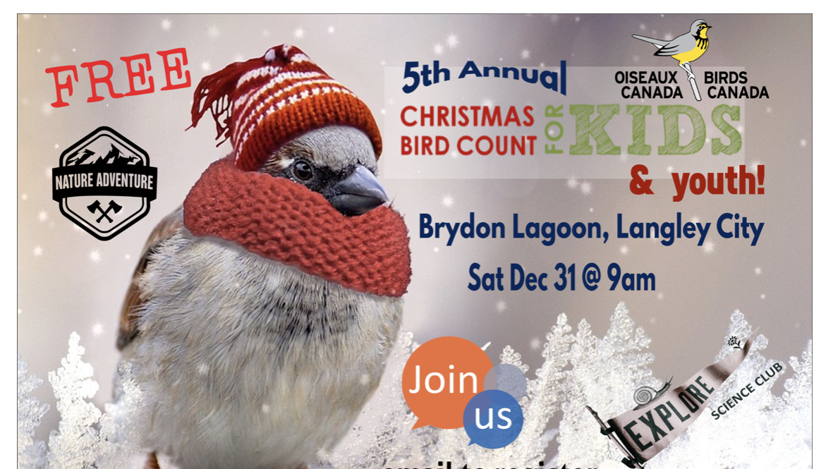 LANGLEY – Christmas Bird Count for Kids