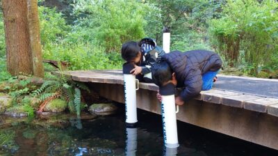 NORTH VANCOUVER – Care for Creeks