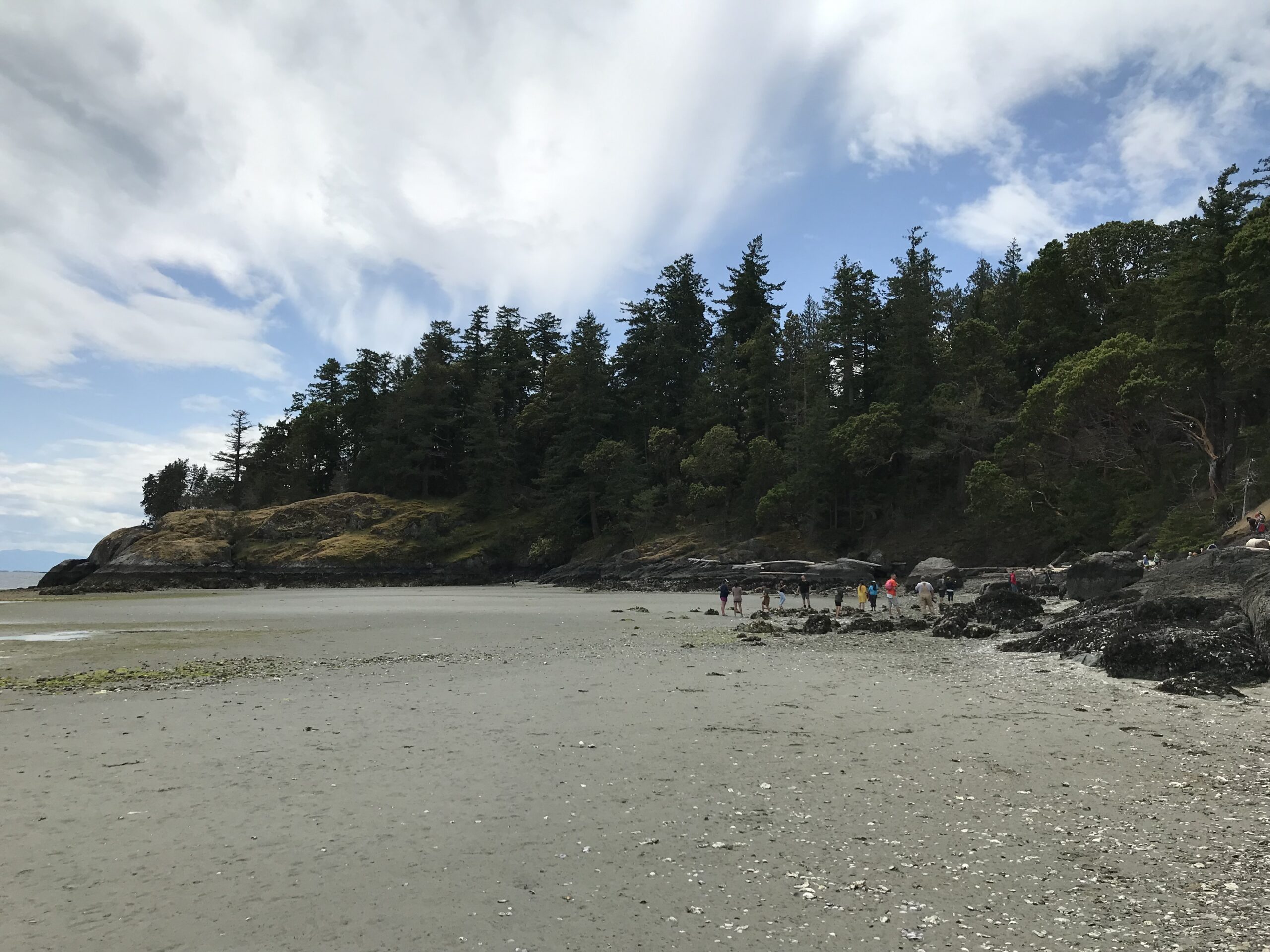 Beach Foraging at Shelter Point