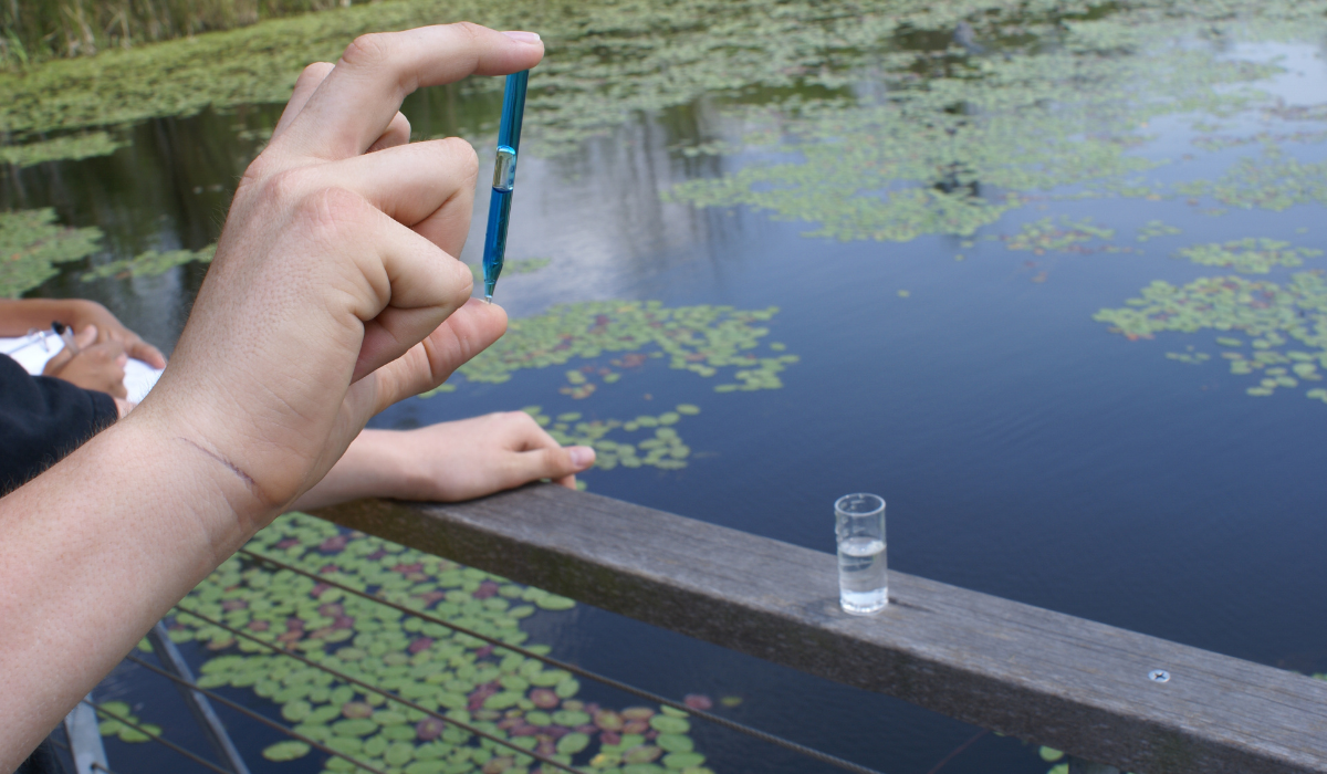Freshwater Toolkit