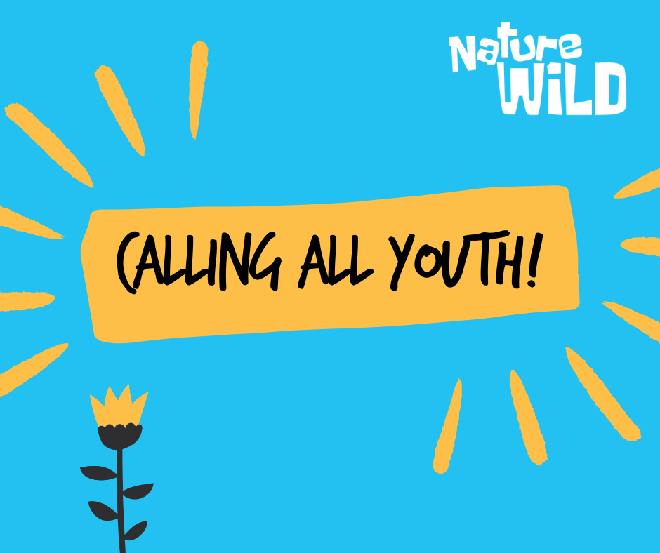 Volunteer Opportunity: NatureWILD Youth Advisor