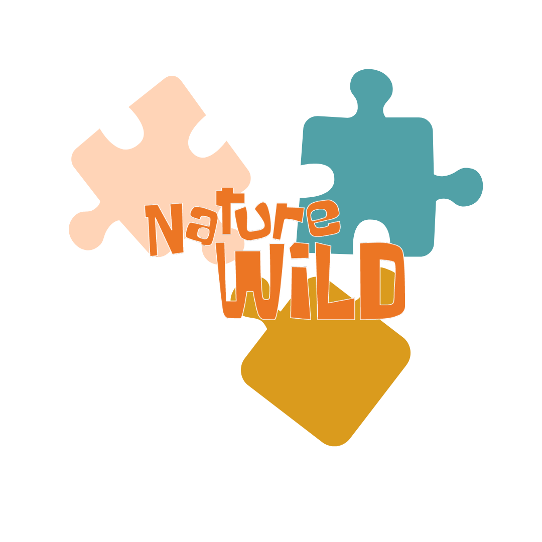Activities and Puzzles