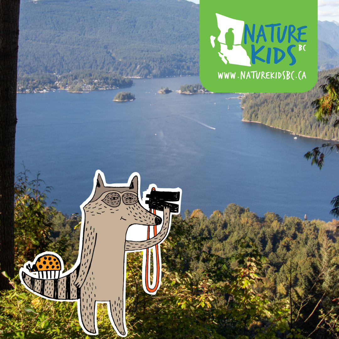 Employment Opportunity: Communications & Engagement intern