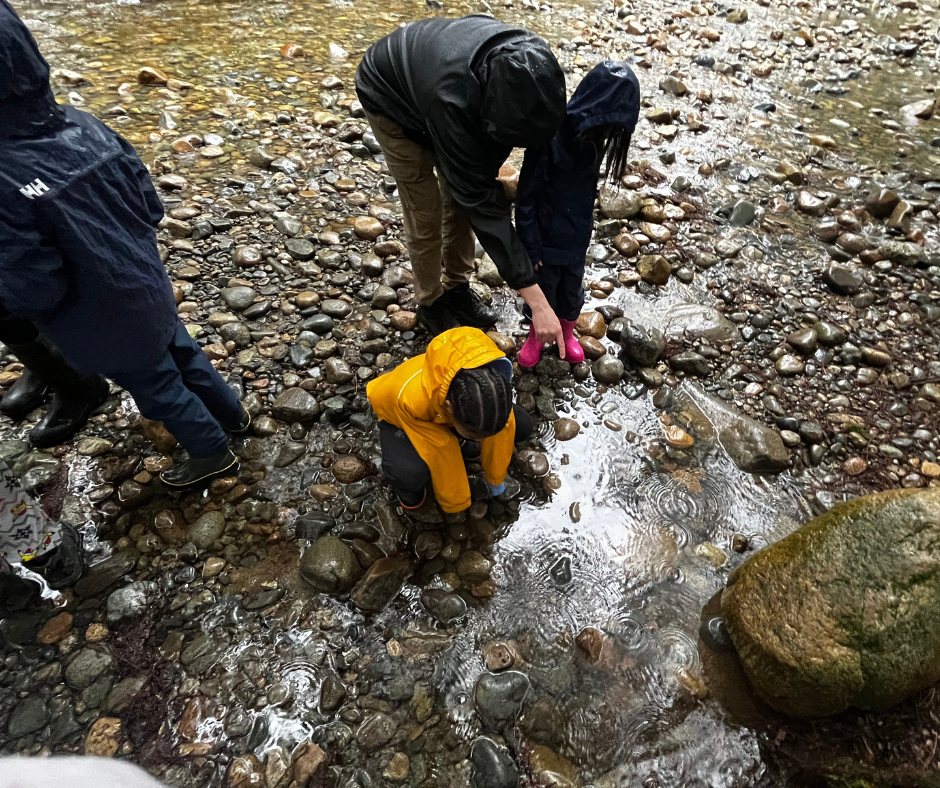 Maple Ridge Freshwater Detectives