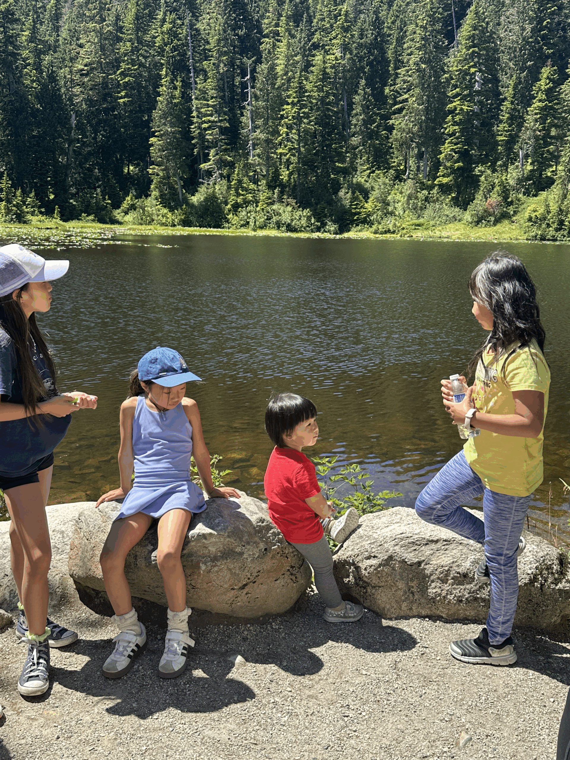 Ripples of Connection: Water – The Element That Connects Us All!