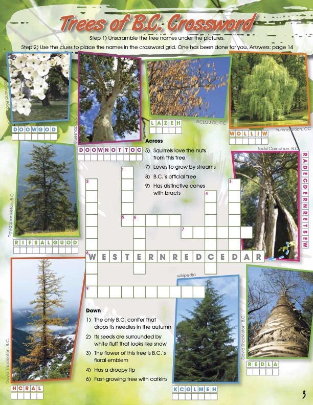 Fall Activity Sheet