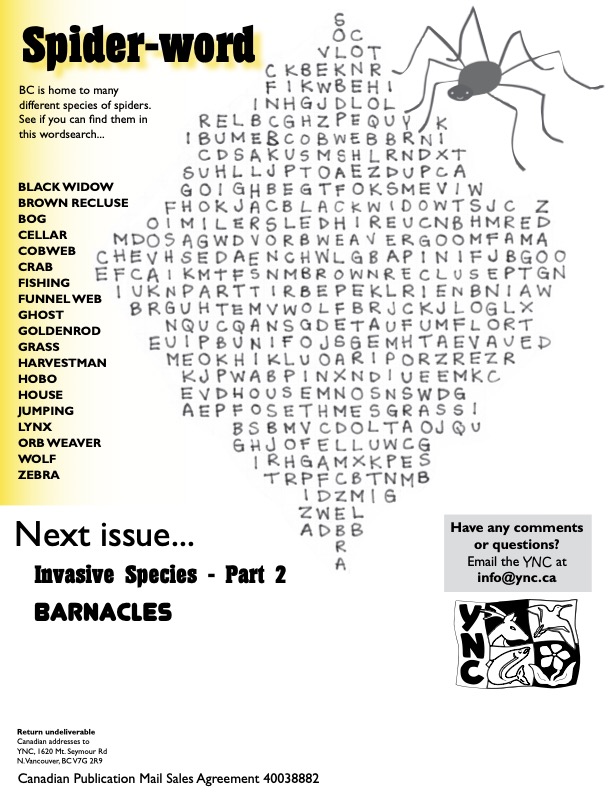2014 - Vol 15 - Activity Sheets