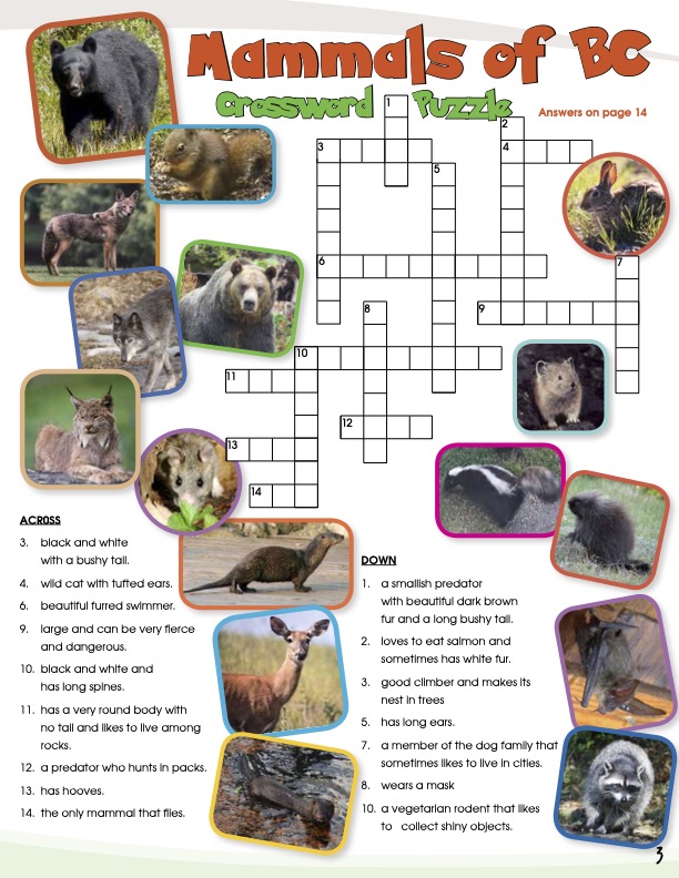 2016 - Fall Activity Sheet