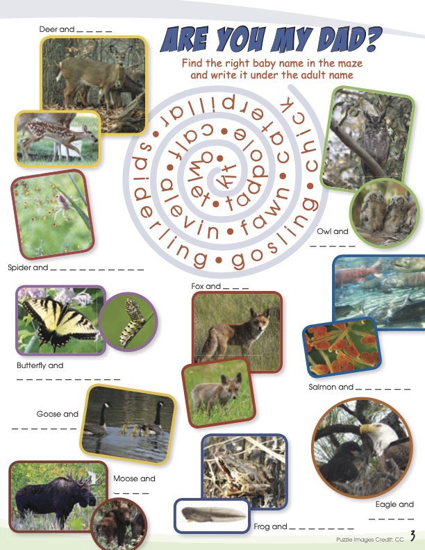 2016 - Summer Activity. Sheets