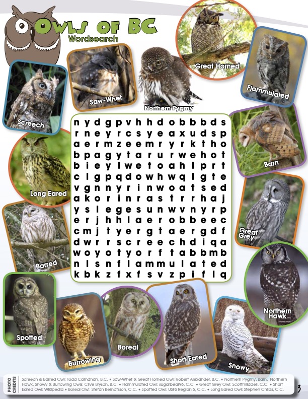 2016 - Winter - Activity Sheet