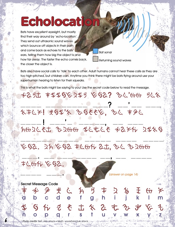 Summer 2019 - Activity Sheet