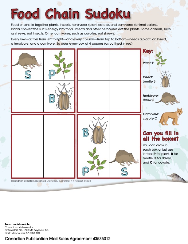 Fall 2021 - Activity Sheets