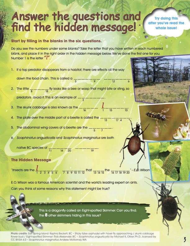Spring Activity Sheets