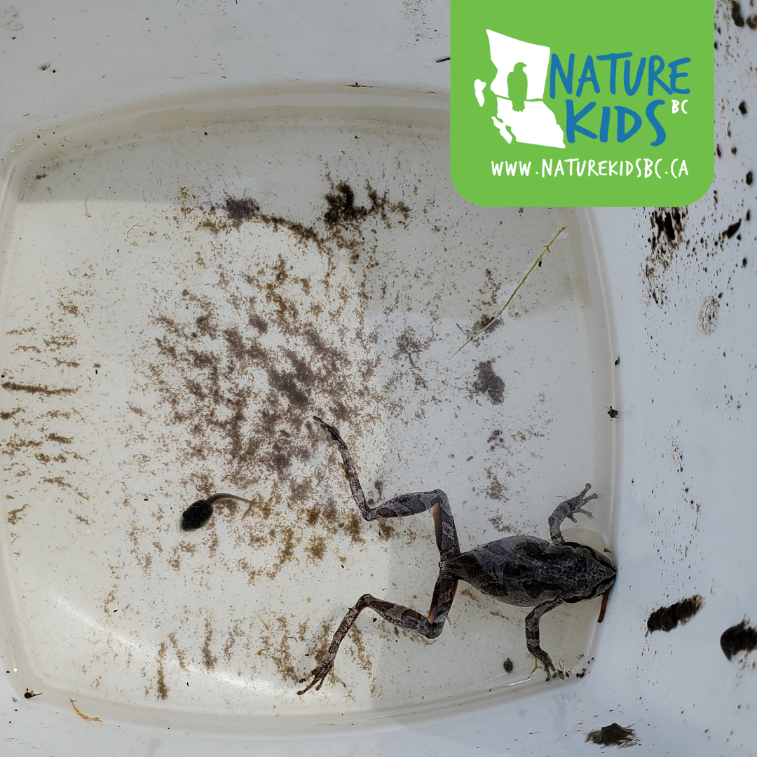 VERNON – Freshwater Exploration